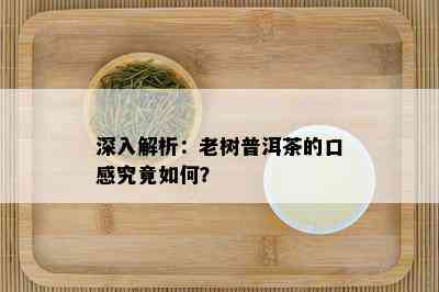 深入解析：老树普洱茶的口感究竟如何？