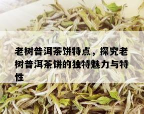 老树普洱茶饼特点，探究老树普洱茶饼的独特魅力与特性