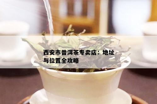 西安市普洱茶专卖店：地址与位置全攻略