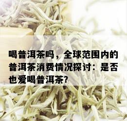 喝普洱茶吗，全球范围内的普洱茶消费情况探讨：是否也爱喝普洱茶？