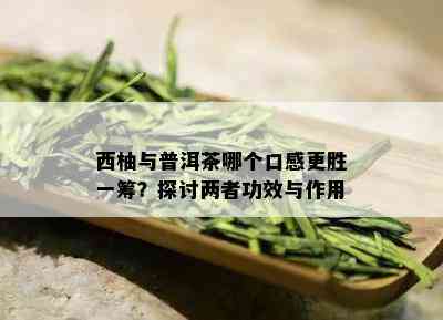 西柚与普洱茶哪个口感更胜一筹？探讨两者功效与作用