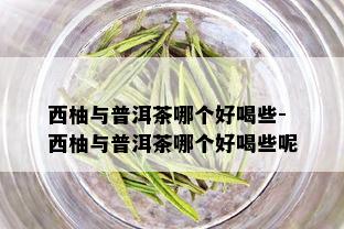 西柚与普洱茶哪个好喝些-西柚与普洱茶哪个好喝些呢