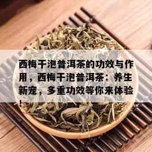 西梅干泡普洱茶的功效与作用，西梅干泡普洱茶：养生新宠，多重功效等你来体验！