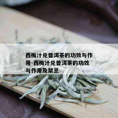 西梅汁兑普洱茶的功效与作用-西梅汁兑普洱茶的功效与作用及禁忌