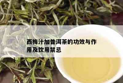 西梅汁加普洱茶的功效与作用及饮用禁忌