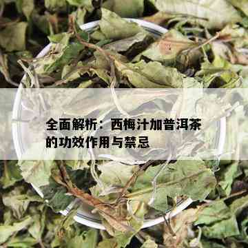 全面解析：西梅汁加普洱茶的功效作用与禁忌