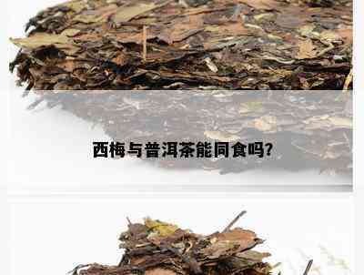 西梅与普洱茶能同食吗？