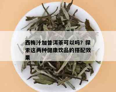 西梅汁加普洱茶可以吗？探索这两种健康饮品的搭配效果