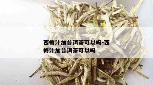 西梅汁加普洱茶可以吗-西梅汁加普洱茶可以吗