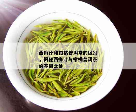 西梅汁和柑橘普洱茶的区别，揭秘西梅汁与柑橘普洱茶的不同之处