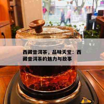  *** 普洱茶，品味天堂： *** 普洱茶的魅力与故事