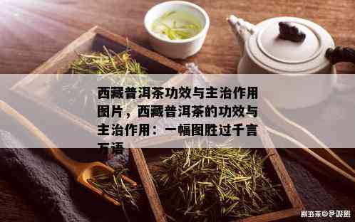  *** 普洱茶功效与主治作用图片， *** 普洱茶的功效与主治作用：一幅图胜过千言万语