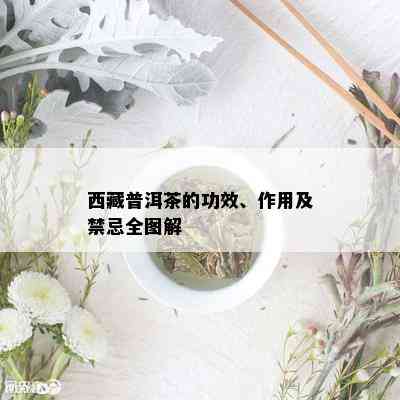  *** 普洱茶的功效、作用及禁忌全图解