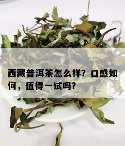  *** 普洱茶怎么样？口感如何，值得一试吗？