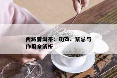  *** 普洱茶：功效、禁忌与作用全解析