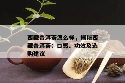  *** 普洱茶怎么样，揭秘 *** 普洱茶：口感、功效及选购建议