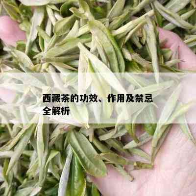  *** 茶的功效、作用及禁忌全解析