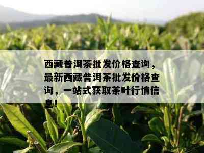  *** 普洱茶批发价格查询，最新 *** 普洱茶批发价格查询，一站式获取茶叶行情信息！