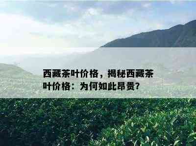  *** 茶叶价格，揭秘 *** 茶叶价格：为何如此昂贵？