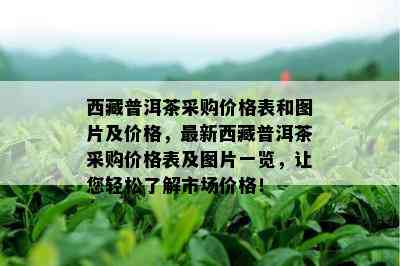  *** 普洱茶采购价格表和图片及价格，最新 *** 普洱茶采购价格表及图片一览，让您轻松了解市场价格！