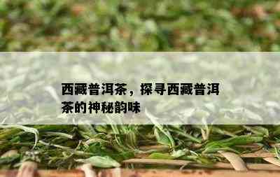  *** 普洱茶，探寻 *** 普洱茶的神秘韵味