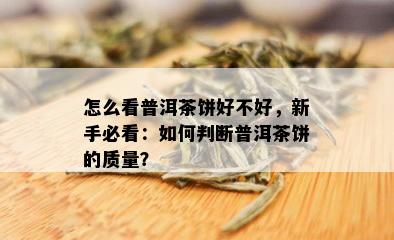 怎么看普洱茶饼好不好，新手必看：如何判断普洱茶饼的质量？