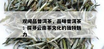 观闻品普洱茶，品味普洱茶：探寻云南茶文化的独特魅力