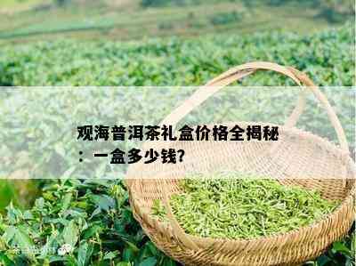 观海普洱茶礼盒价格全揭秘：一盒多少钱？