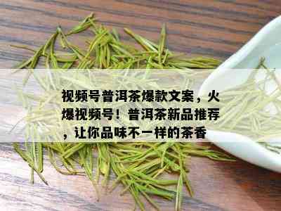 视频号普洱茶爆款文案，火爆视频号！普洱茶新品推荐，让你品味不一样的茶香