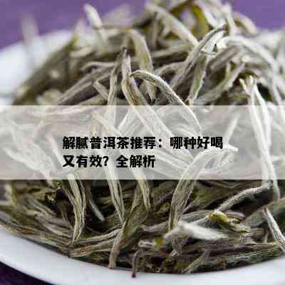 解腻普洱茶推荐：哪种好喝又有效？全解析