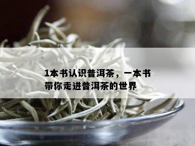 1本书认识普洱茶，一本书带你走进普洱茶的世界