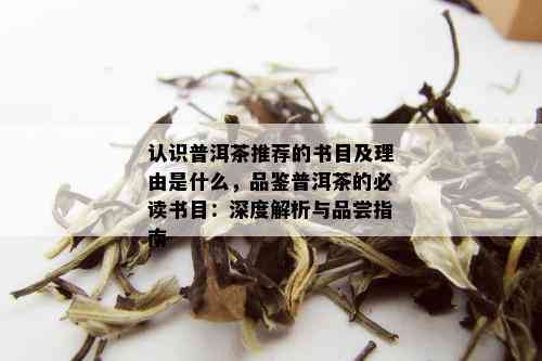 认识普洱茶推荐的书目及理由是什么，品鉴普洱茶的必读书目：深度解析与品尝指南