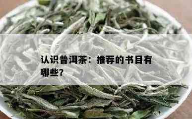 认识普洱茶：推荐的书目有哪些？