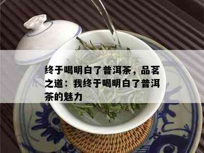 终于喝明白了普洱茶，品茗之道：我终于喝明白了普洱茶的魅力