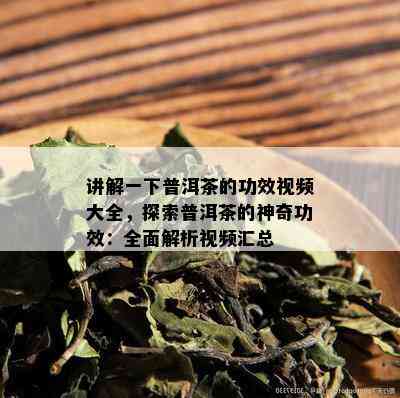 讲解一下普洱茶的功效视频大全，探索普洱茶的神奇功效：全面解析视频汇总