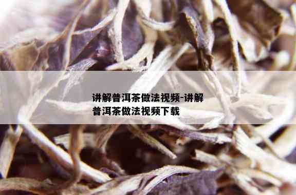 讲解普洱茶做法视频-讲解普洱茶做法视频下载