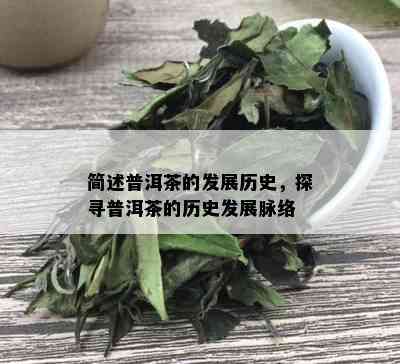 简述普洱茶的发展历史，探寻普洱茶的历史发展脉络