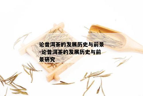 论普洱茶的发展历史与前景-论普洱茶的发展历史与前景研究