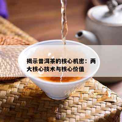 揭示普洱茶的核心机密：两大核心技术与核心价值