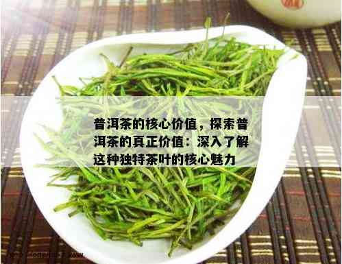 普洱茶的核心价值，探索普洱茶的真正价值：深入了解这种独特茶叶的核心魅力