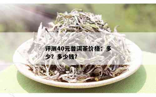 评测40元普洱茶价格：多少？多少钱？