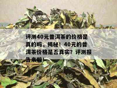 评测40元普洱茶的价格是真的吗，揭秘！40元的普洱茶价格是否真实？评测报告来啦！