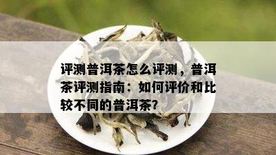 评测普洱茶怎么评测，普洱茶评测指南：如何评价和比较不同的普洱茶？