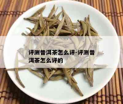 评测普洱茶怎么评-评测普洱茶怎么评的