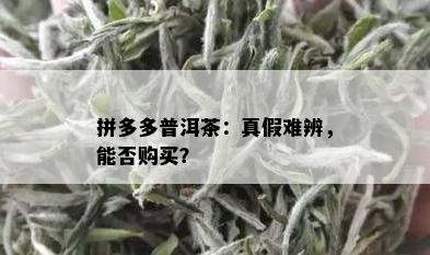 拼多多普洱茶：真假难辨，能否购买？