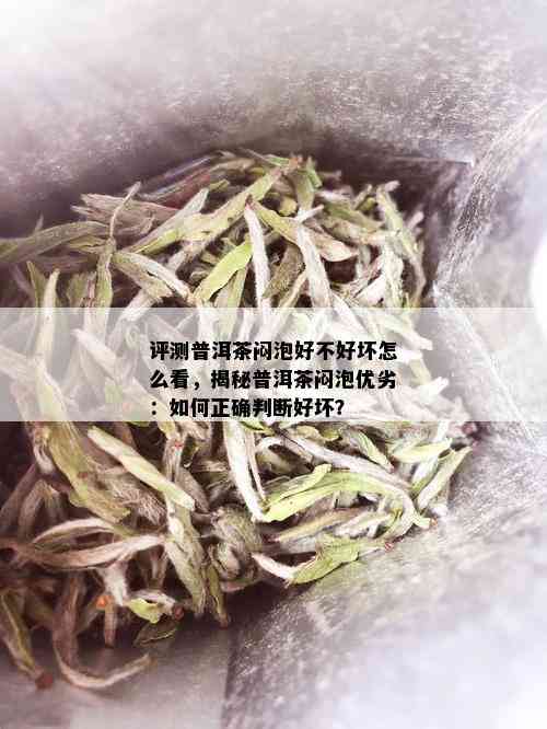 评测普洱茶闷泡好不好坏怎么看，揭秘普洱茶闷泡优劣：如何正确判断好坏？