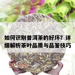 如何识别普洱茶的好坏？详细解析茶叶品质与品鉴技巧