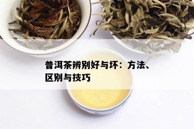 普洱茶辨别好与坏：方法、区别与技巧