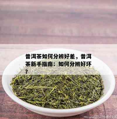 普洱茶如何分辨好差，普洱茶新手指南：如何分辨好坏？