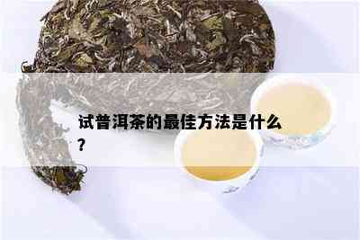 试普洱茶的更佳方法是什么？